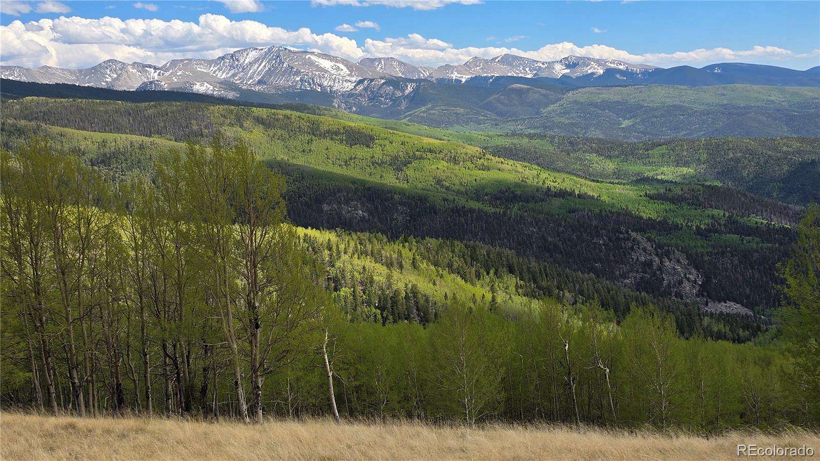 46.2 Acres of Recreational & Residential Land for Sale in Fort Garland, Colorado
