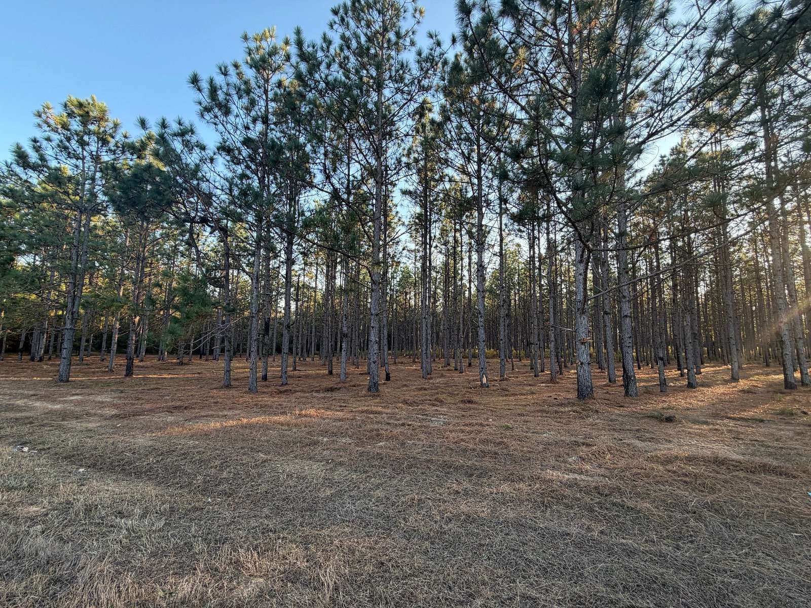 9.8 Acres of Residential Land for Sale in Troy, Alabama