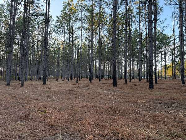 7.32 Acres of Residential Land for Sale in Troy, Alabama