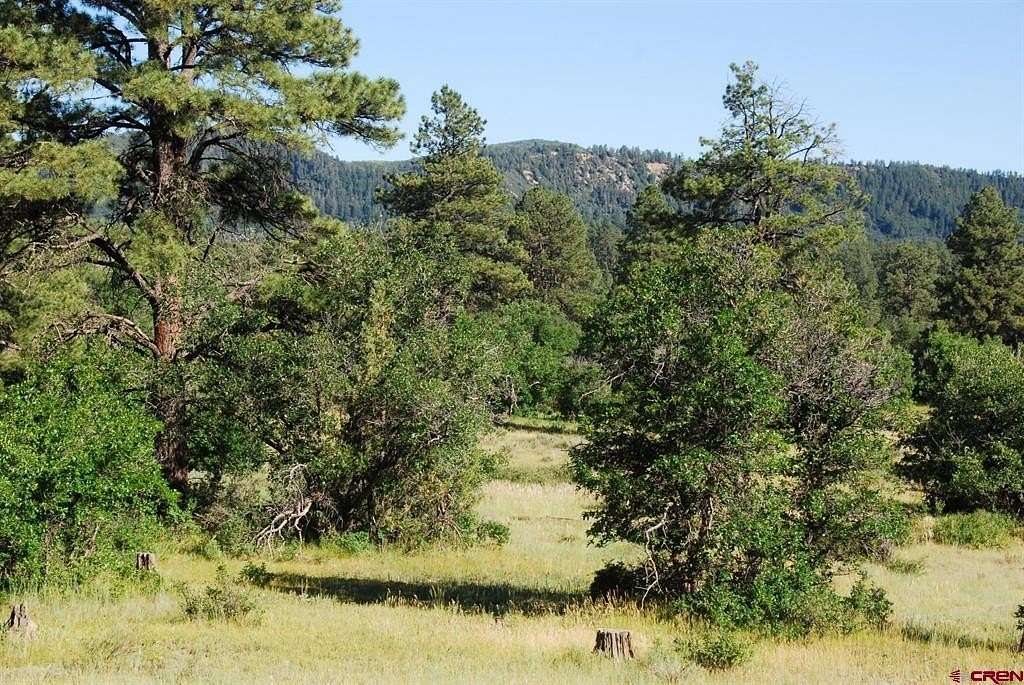 2.5 Acres of Land for Sale in Pagosa Springs, Colorado