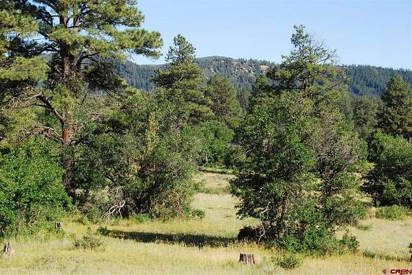 2.5 Acres of Land for Sale in Pagosa Springs, Colorado