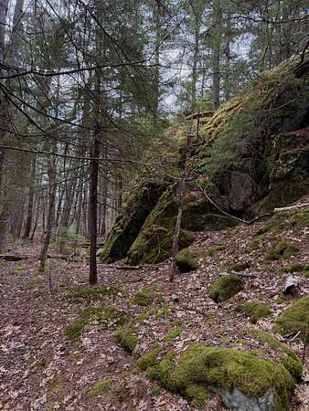 14.3 Acres of Land for Sale in Boothbay, Maine