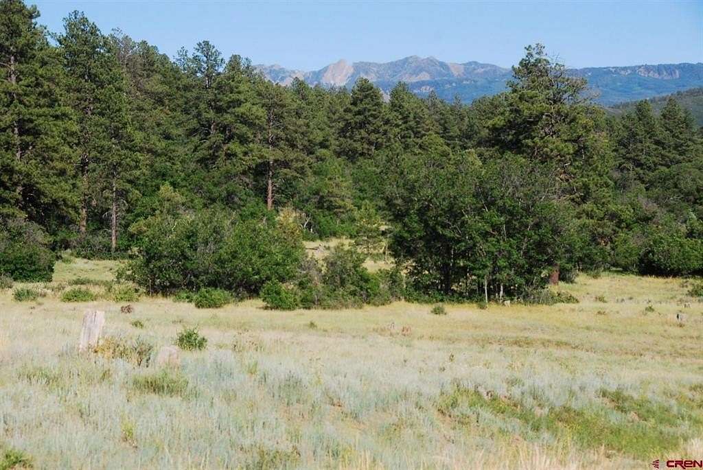 10 Acres of Recreational & Residential Land for Sale in Pagosa Springs, Colorado