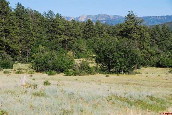10 Acres of Recreational & Residential Land for Sale in Pagosa Springs, Colorado