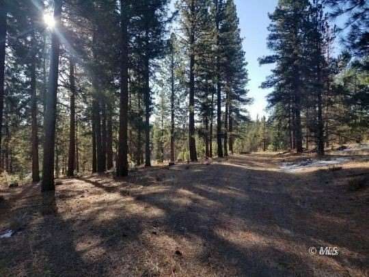 105 Acres of Land for Sale in Davis Creek, California