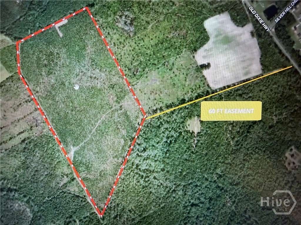 60 Acres of Recreational & Residential Land for Sale in Springfield, Georgia