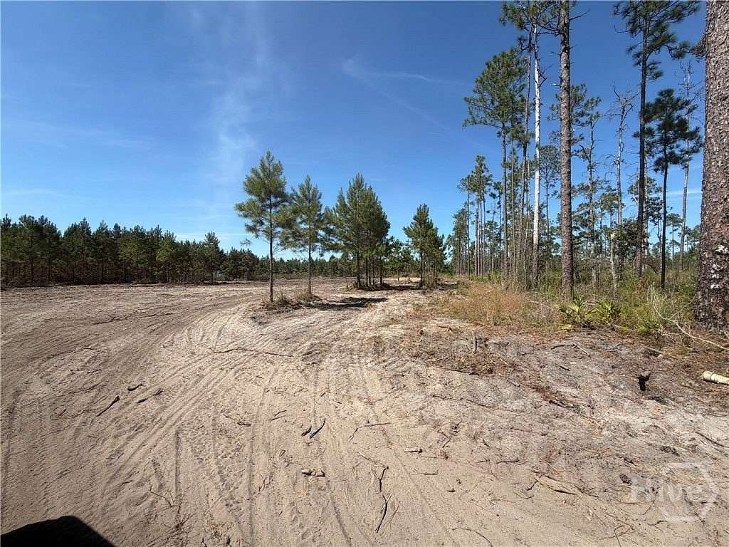 60 Acres of Recreational & Residential Land for Sale in Springfield, Georgia