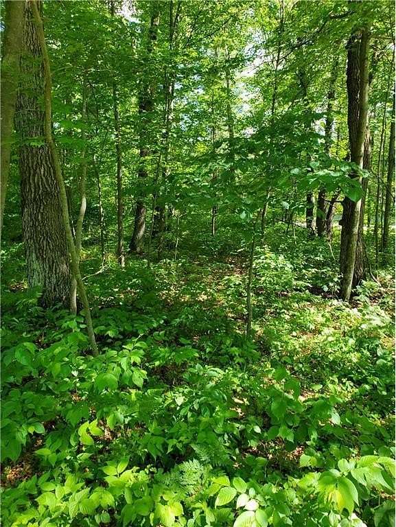 0.86 Acres of Land for Sale in Motley, Minnesota