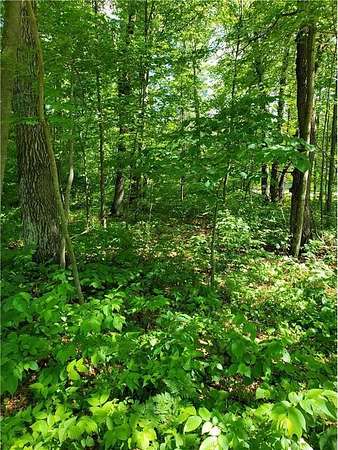 0.86 Acres of Land for Sale in Motley, Minnesota