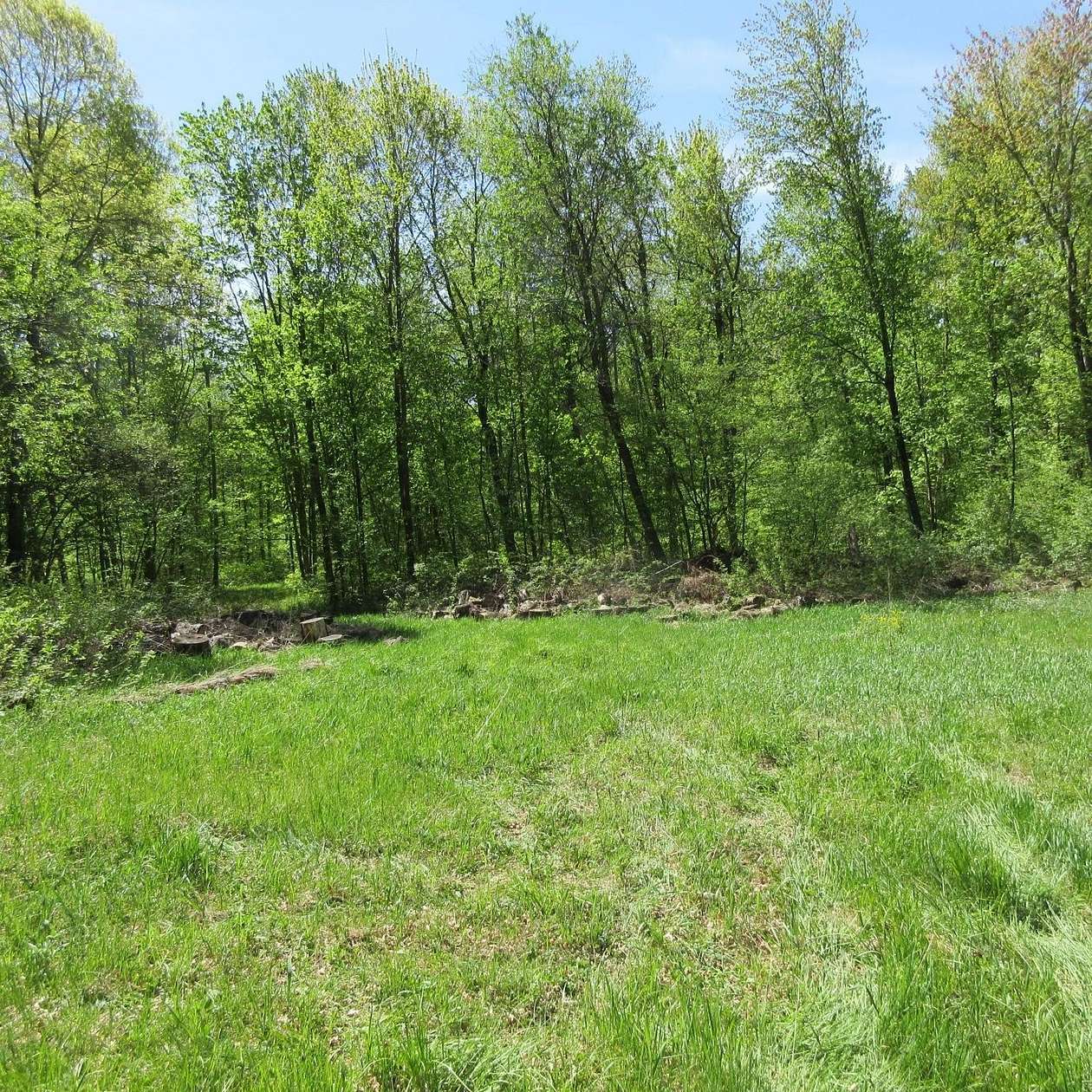 40 Acres of Land for Sale in Boyceville, Wisconsin