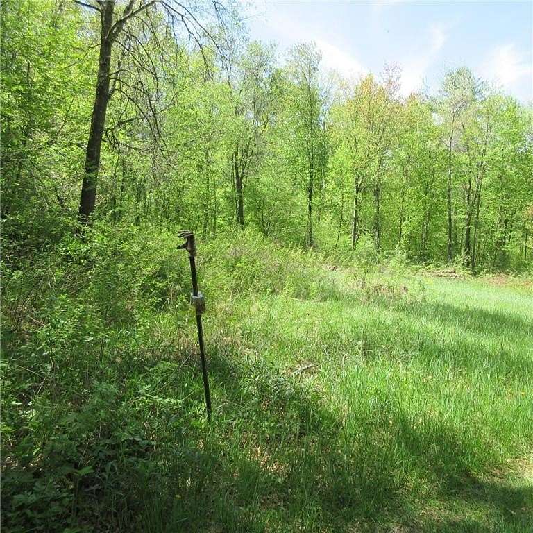 40 Acres of Recreational Land for Sale in Sherman Town, Wisconsin