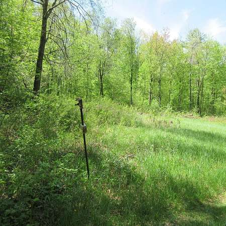 40 Acres of Recreational Land for Sale in Boyceville, Wisconsin