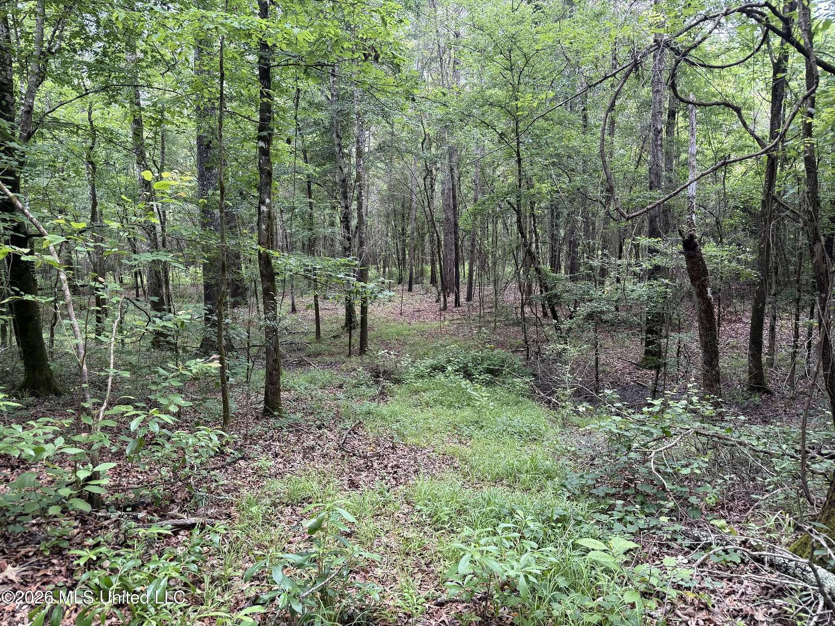 5 Acres of Land for Sale in Terry, Mississippi