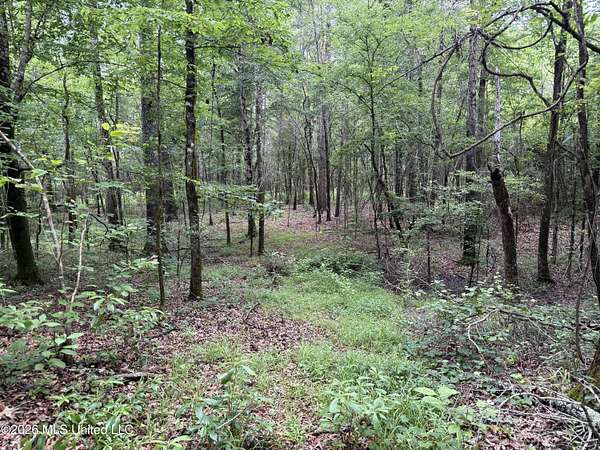 5 Acres of Land for Sale in Terry, Mississippi