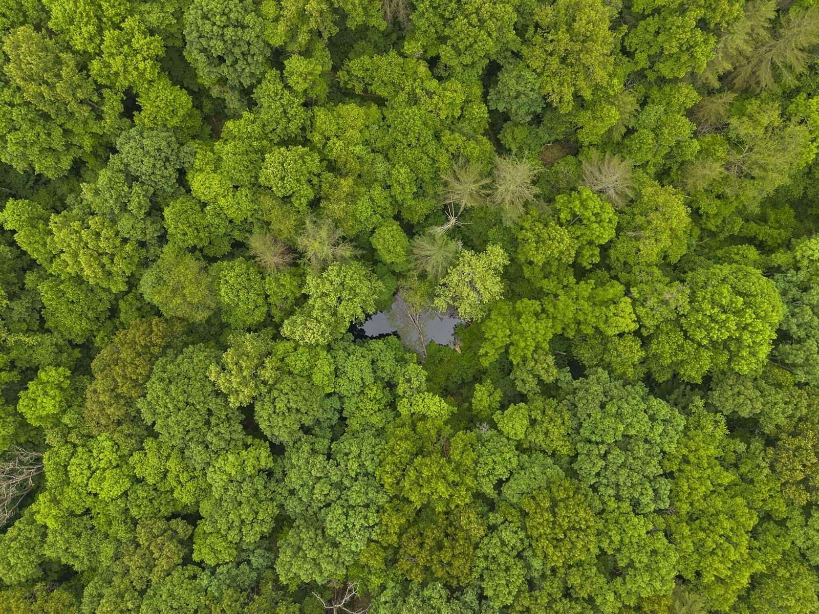5 Acres of Land with Home for Sale in Logan, Ohio