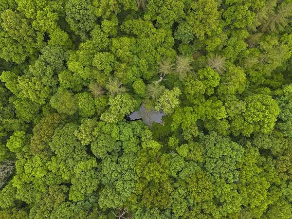 5 Acres of Land with Home for Sale in Logan, Ohio
