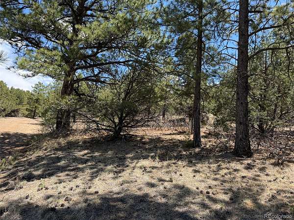 8.15 Acres of Land for Sale in Westcliffe, Colorado