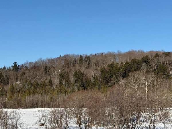73 Acres of Land for Sale in Munising, Michigan