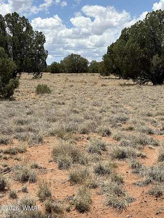 1 Acre of Residential Land for Sale in Concho, Arizona