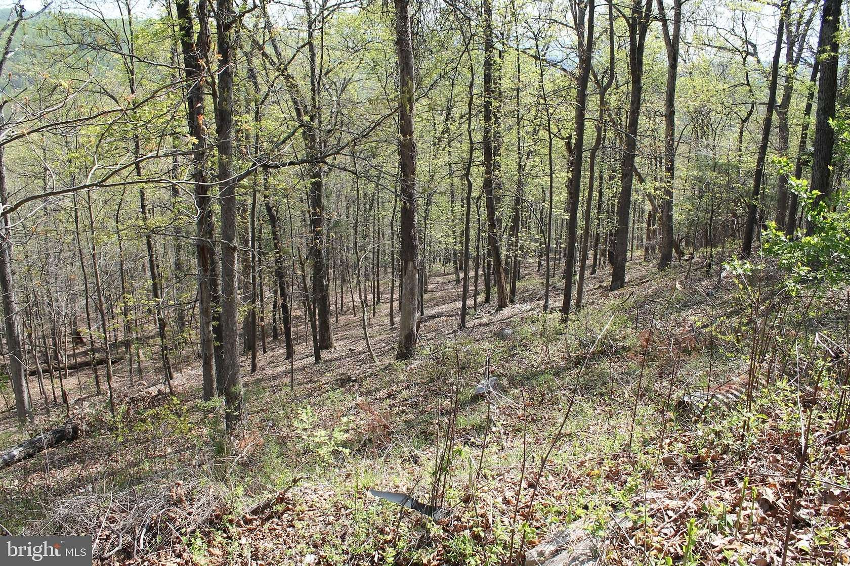 0.48 Acres of Land for Sale in Ruther Glen, Virginia