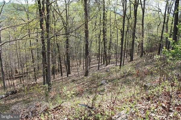 0.48 Acres of Land for Sale in Ruther Glen, Virginia