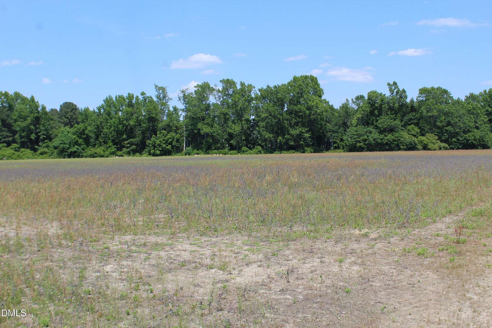 36.5 Acres of Land for Sale in Dunn, North Carolina