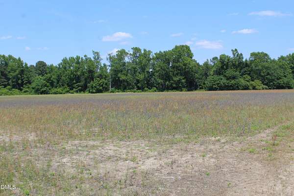 36.5 Acres of Land for Sale in Dunn, North Carolina