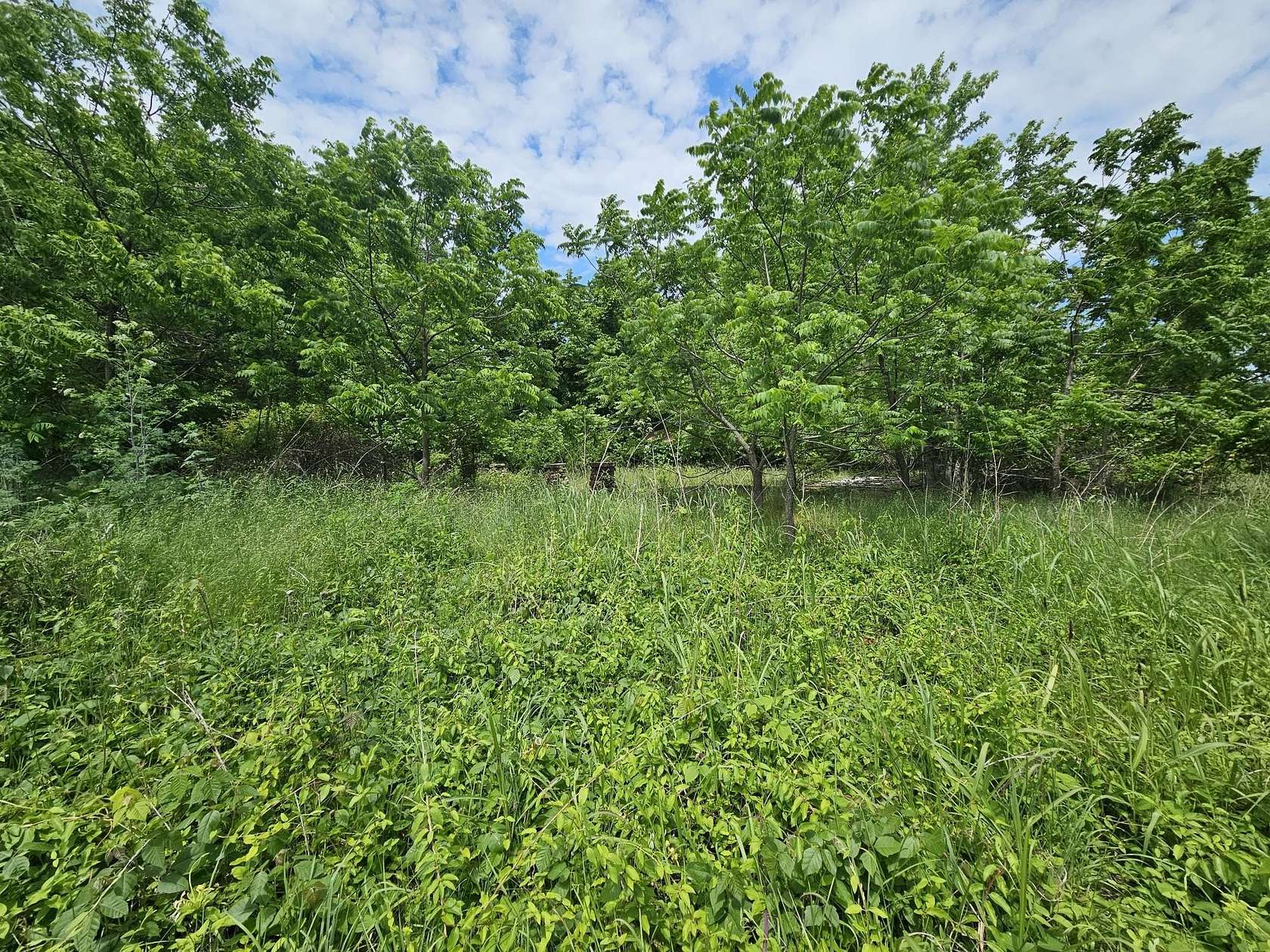 4.7 Acres of Residential Land for Sale in Everton, Missouri