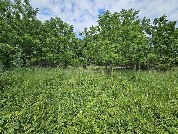4.7 Acres of Residential Land for Sale in Everton, Missouri