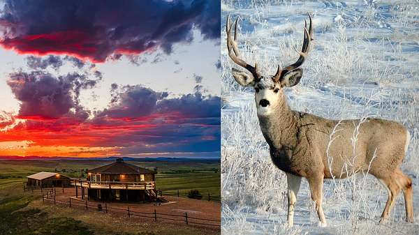 383 Acres of Land with Home for Sale in Sheridan, Wyoming