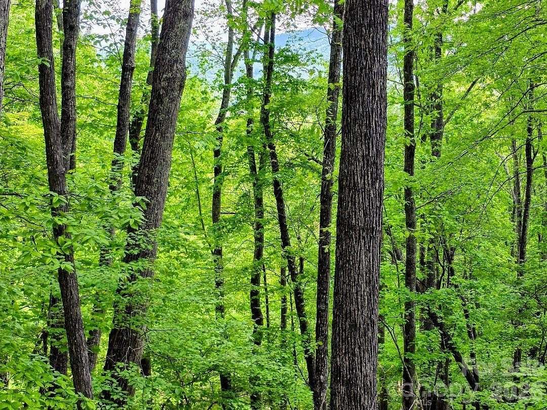 1.48 Acres of Residential Land for Sale in Burnsville, North Carolina
