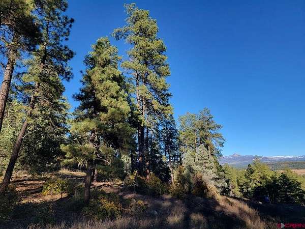 2.5 Acres of Land for Sale in Pagosa Springs, Colorado
