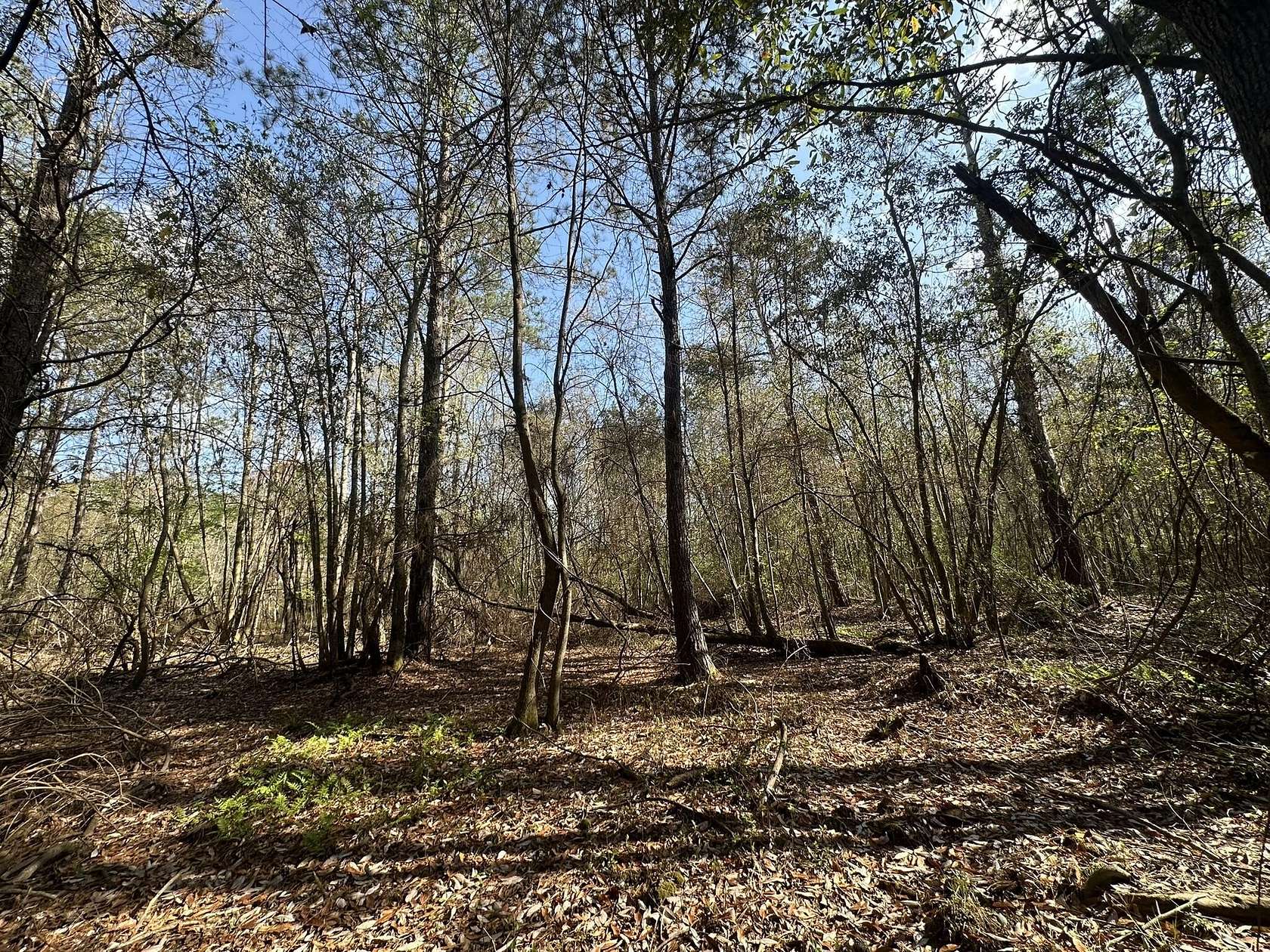 1 Acre of Land for Sale in Frisco City, Alabama