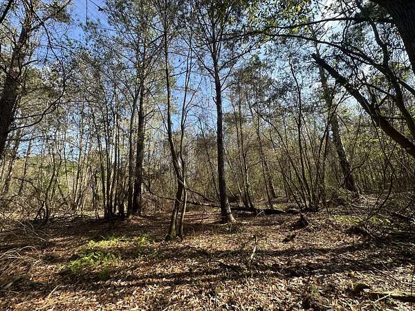1 Acre of Land for Sale in Frisco City, Alabama