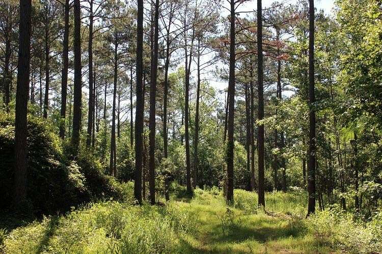 8.24 Acres of Residential Land for Sale in Notasulga, Alabama