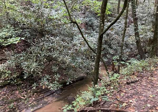 0.8 Acres of Residential Land for Sale in Ellijay, Georgia