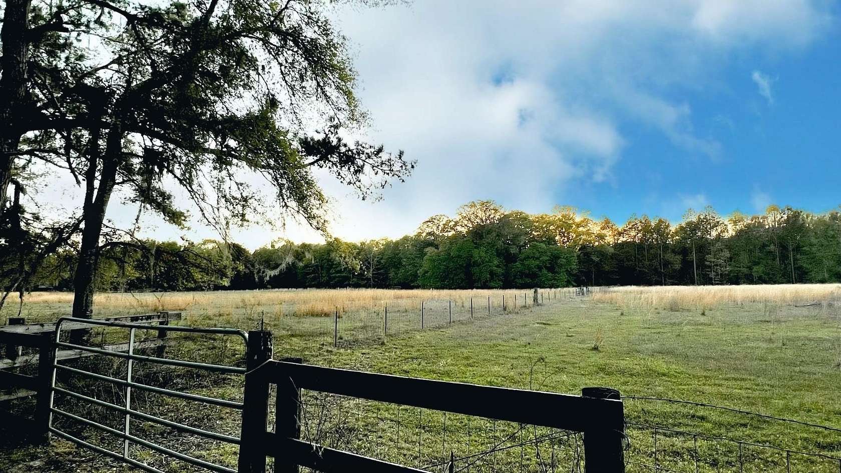 5.55 Acres of Residential Land for Sale in Monticello, Florida