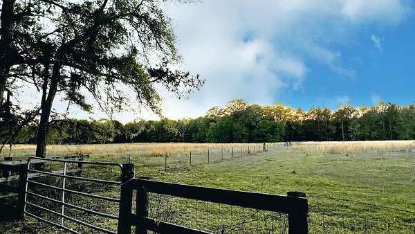 5.55 Acres of Residential Land for Sale in Monticello, Florida