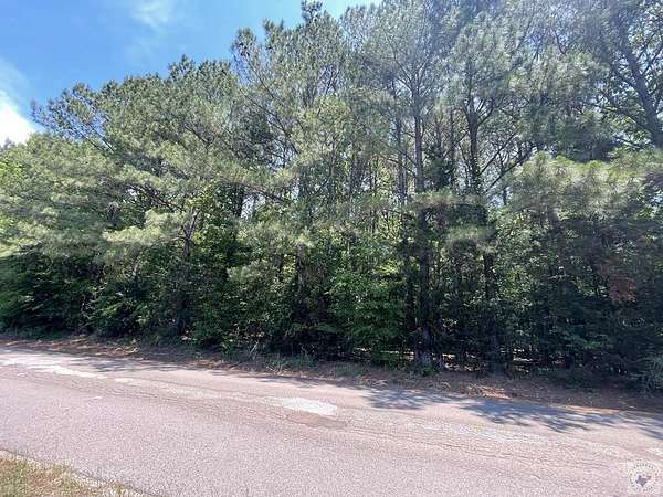 2 Acres of Residential Land for Sale in Mineral Springs, Arkansas