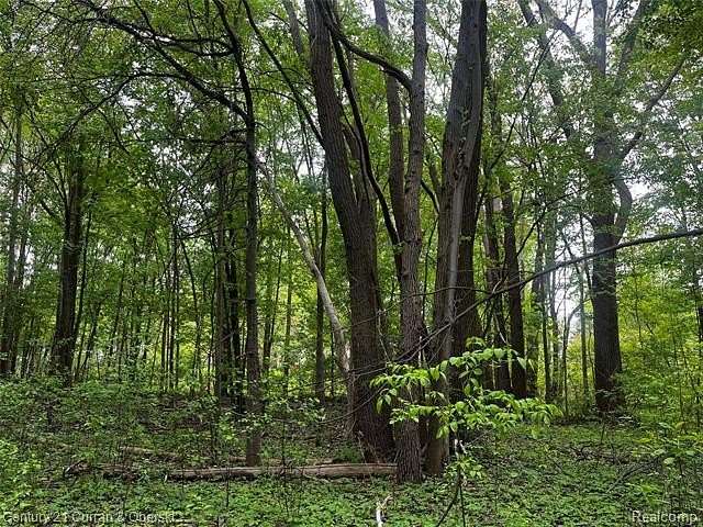 0.12 Acres of Residential Land for Sale in Huron Township, Michigan