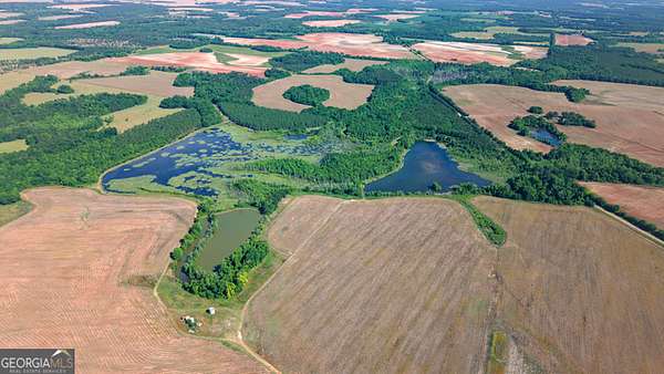 143 Acres of Land for Sale in Edison, Georgia