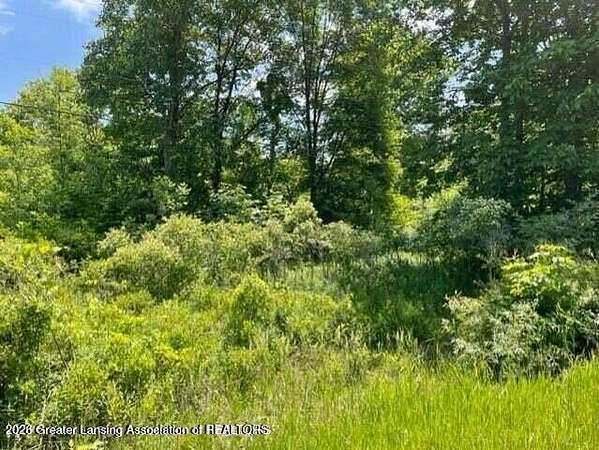 2.7 Acres of Land for Sale in Laingsburg, Michigan
