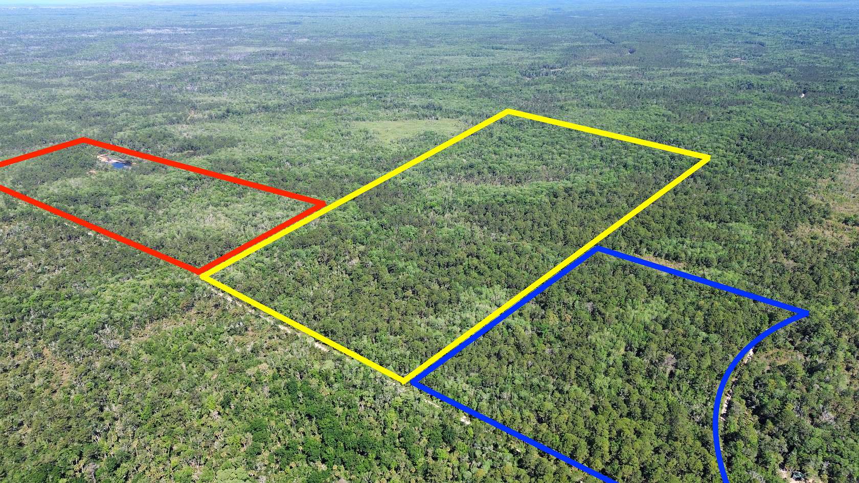 193 Acres of Land for Sale in Chiefland, Florida