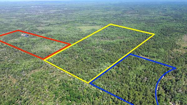 193 Acres of Land for Sale in Chiefland, Florida