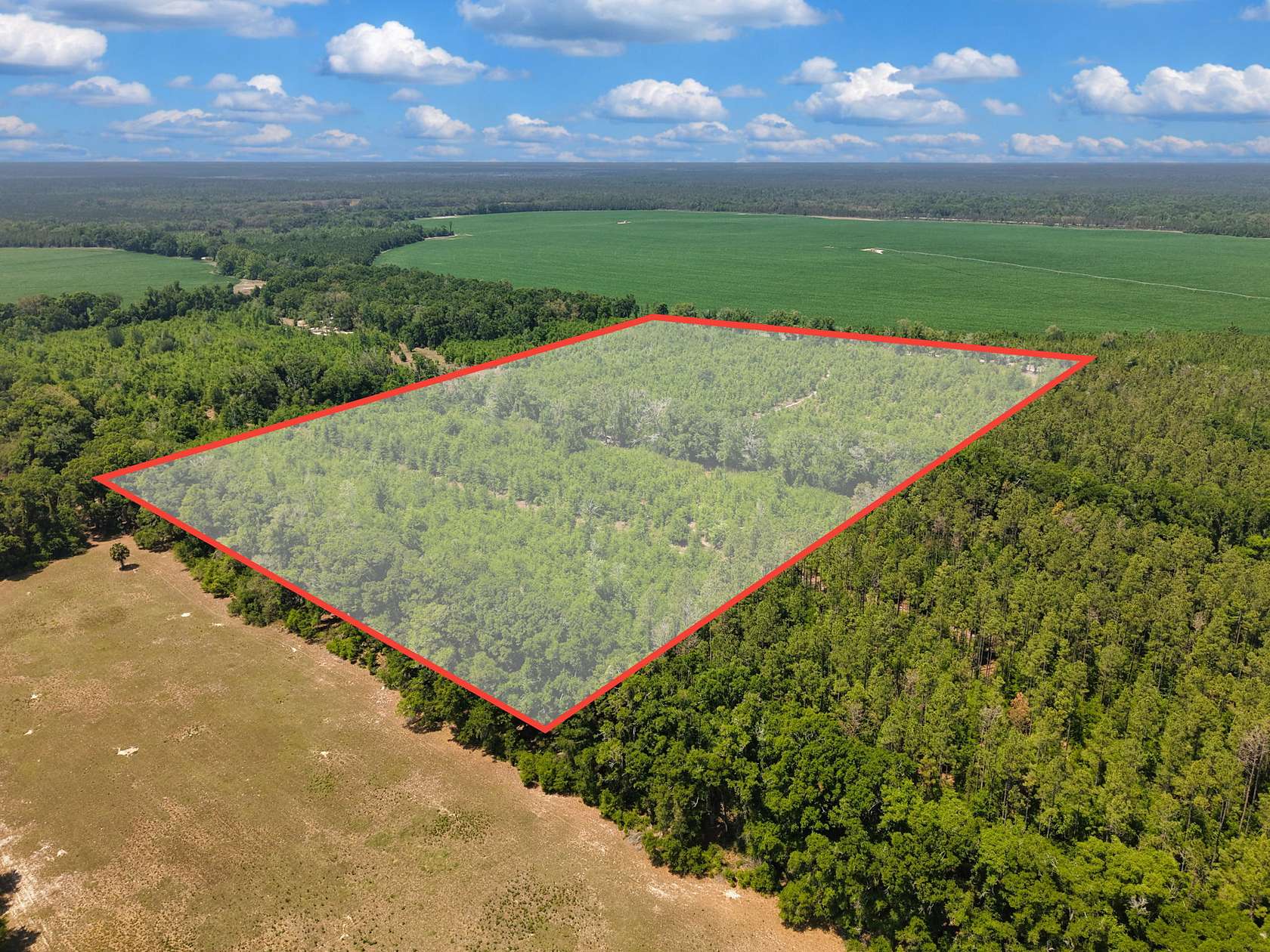 20 Acres of Land for Sale in Branford, Florida
