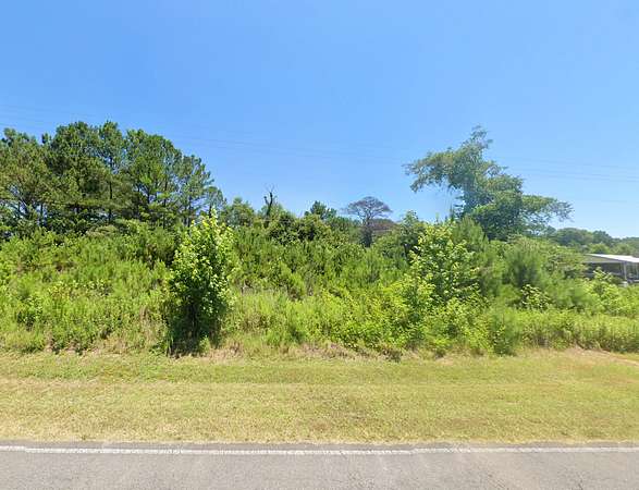 1 Acre of Residential Land for Sale in Nauvoo, Alabama