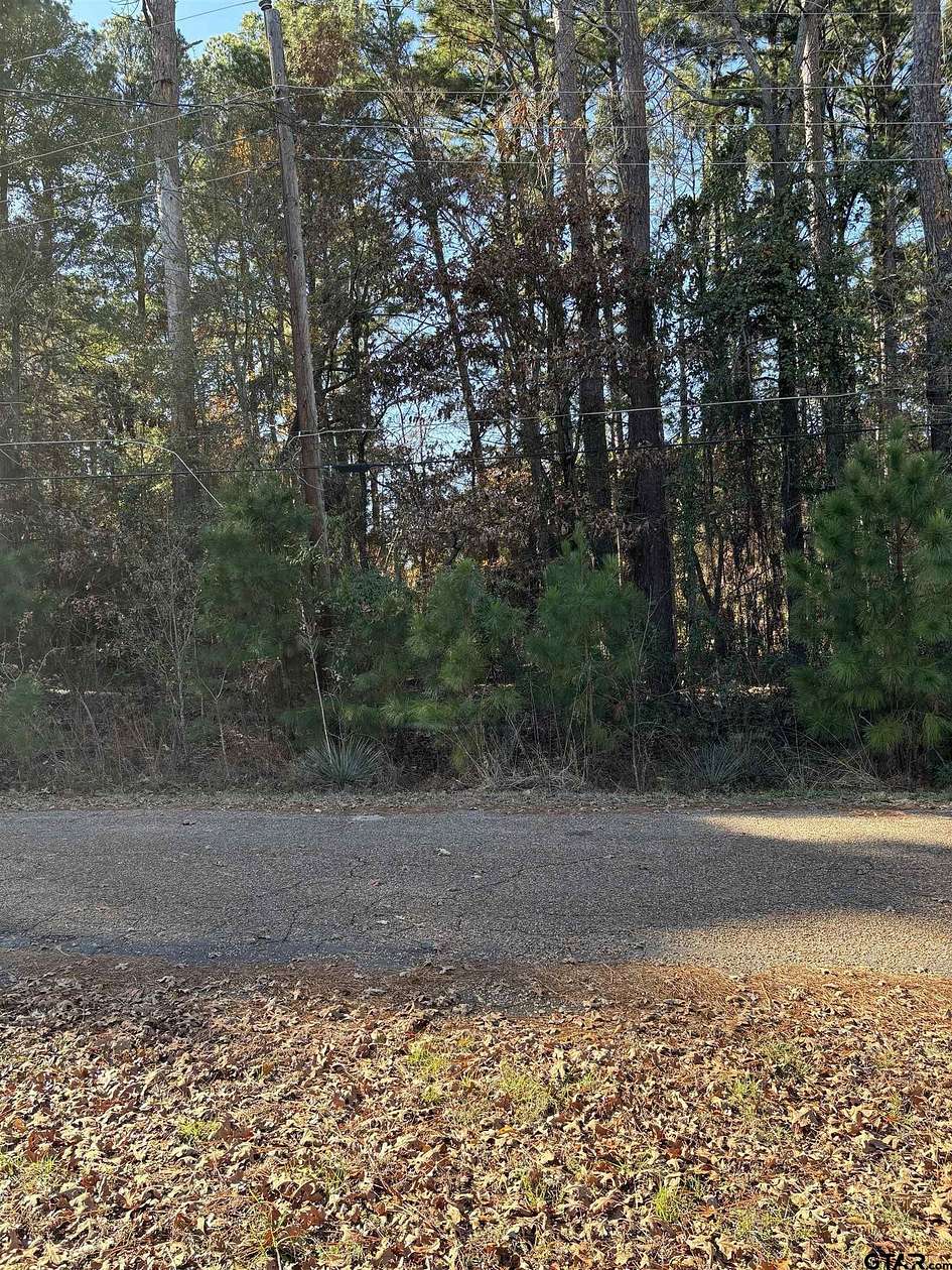 0.21 Acres of Residential Land for Sale in Murchison, Texas