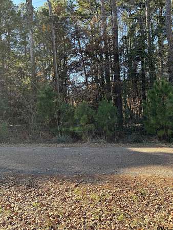 0.21 Acres of Residential Land for Sale in Murchison, Texas