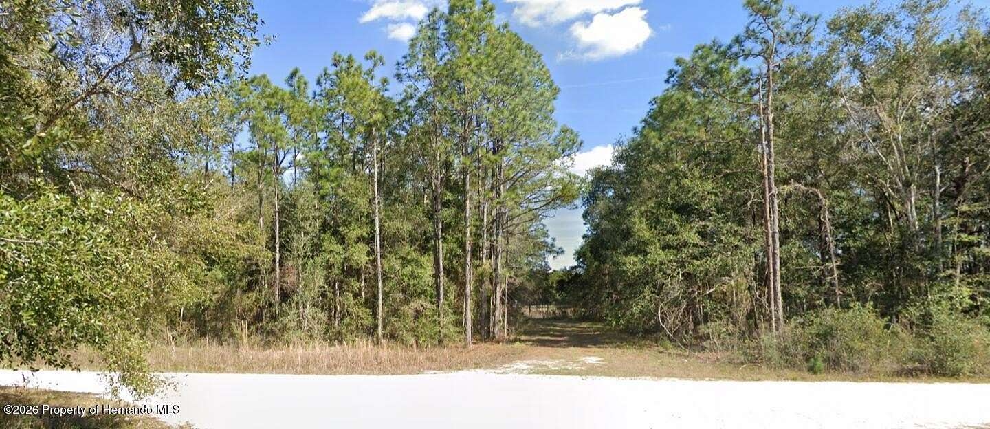 0.47 Acres of Mixed-Use Land for Sale in Weeki Wachee, Florida