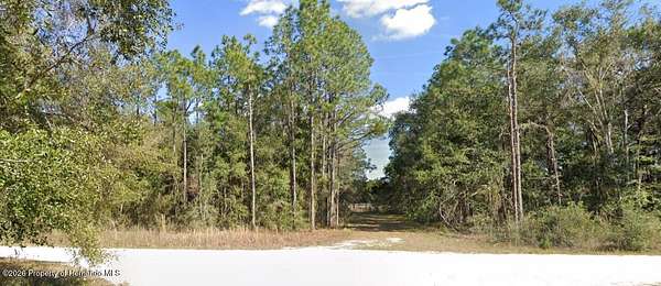 0.47 Acres of Mixed-Use Land for Sale in Weeki Wachee, Florida